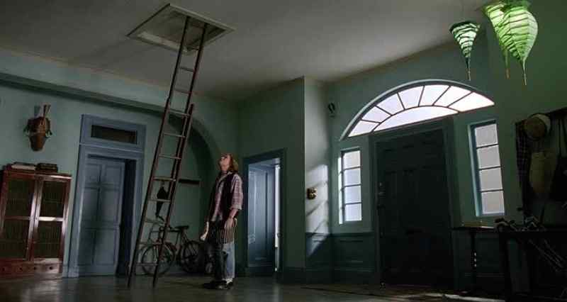 David, what are you doin' up there?
