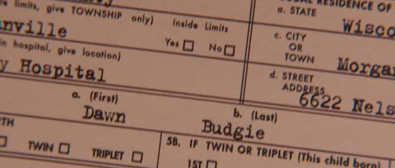 Dawn BudgieThat's a terrible fucking name