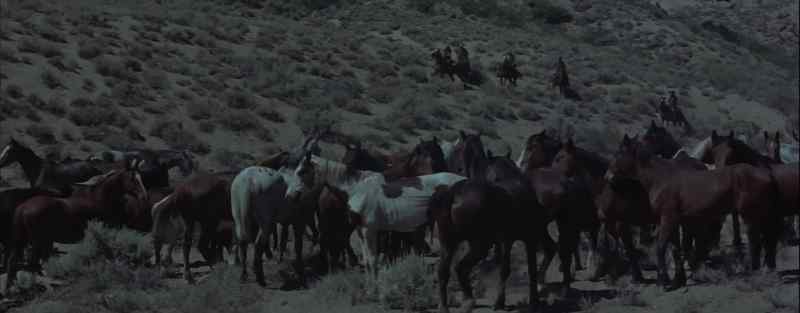 De Rosa is waiting for us to pull the Anchor men away from the ranch