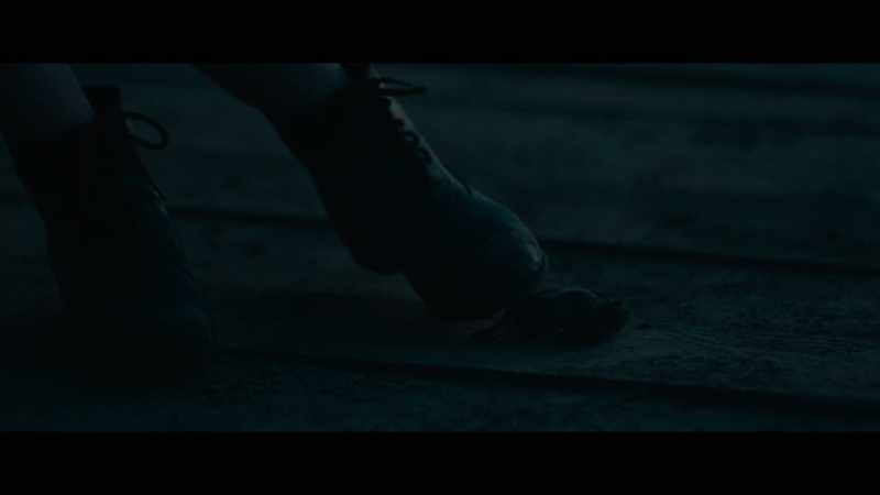 Dead mice, dead rabbits, dead possums