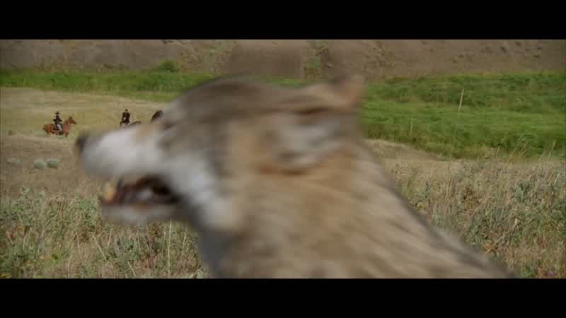 Dead shot, boys