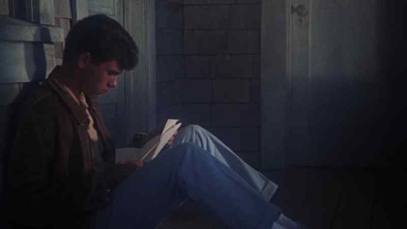 ''Dear Hermie I must go home now