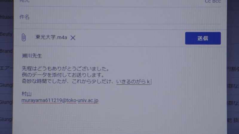 DEAR PROFESSOR SEGAWA
