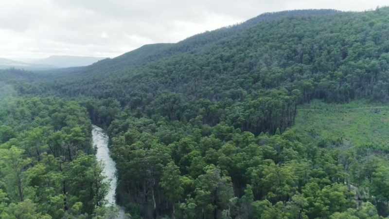 'Death of a River Guide'. Richard Flanagan was someone