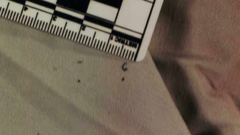 Deaver explained that he had done experiments