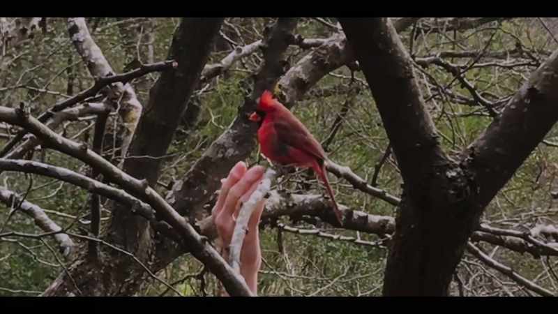 [Debbie] Watch this… - [chirping]
