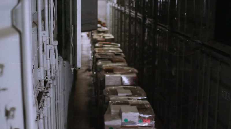 Decades worth of television broadcasts