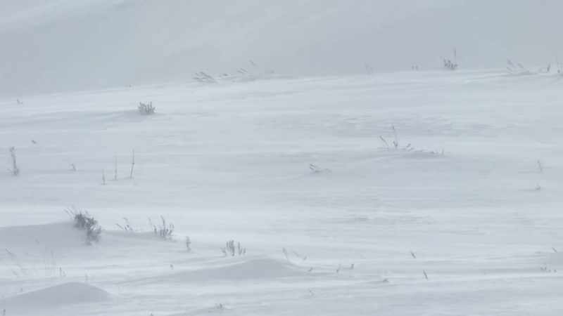 December is the coldest month in yellowstone