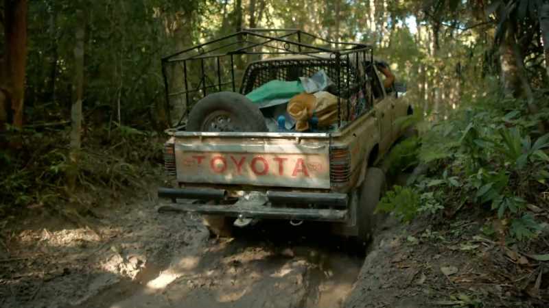 Deep in the Guatemalan rain forest