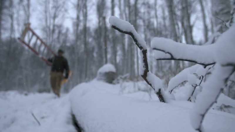 Deep winter brings freezing temperatures and unpredictable snowstorms