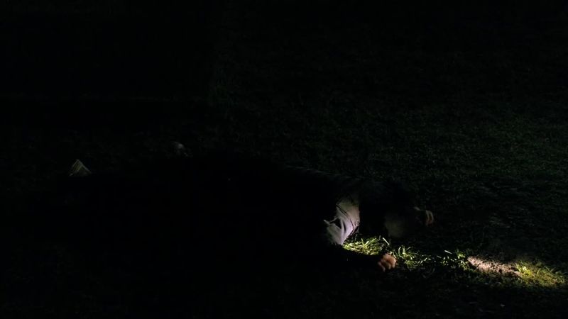 Definitely the fall that killed him