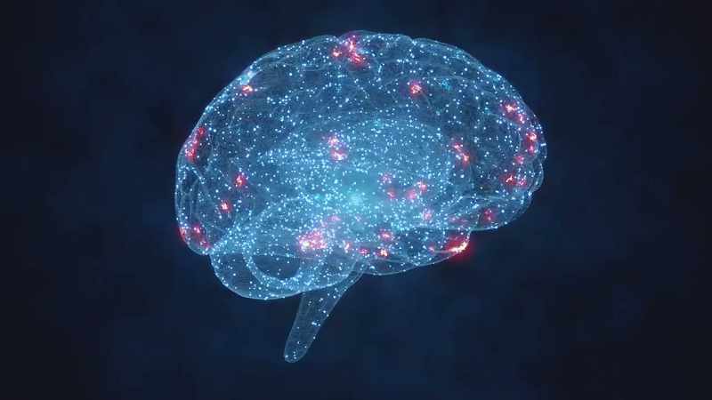 Definitely up in the frontal lobe area