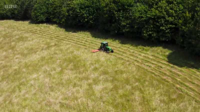 Delaying mowing until mid-July