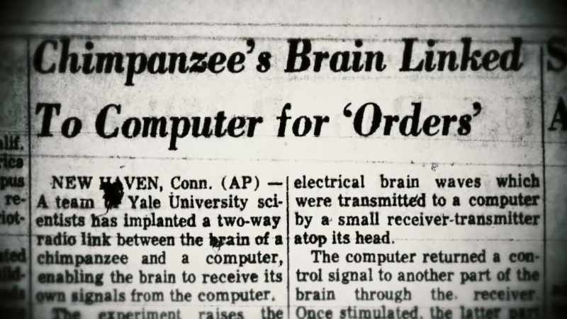 Delgado: Two hours after the brain-to-computer feedback was established
