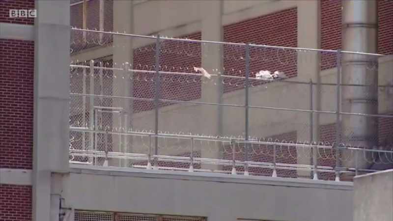 Denied bail, imprisoned in solitary confinement