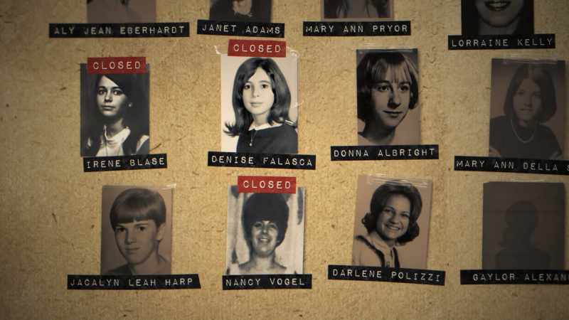 Denise Falasca was now the third confession that