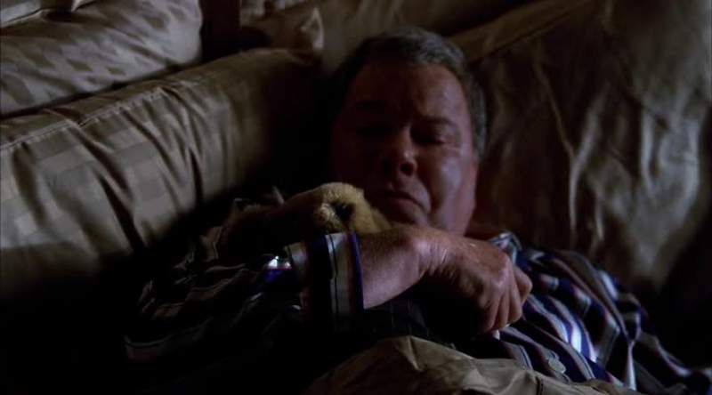 Denny Crane