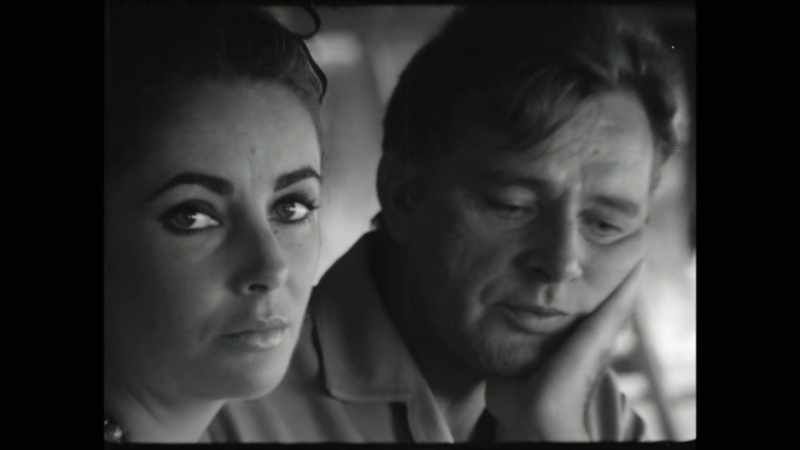 Desperately looking for Elizabeth Taylor