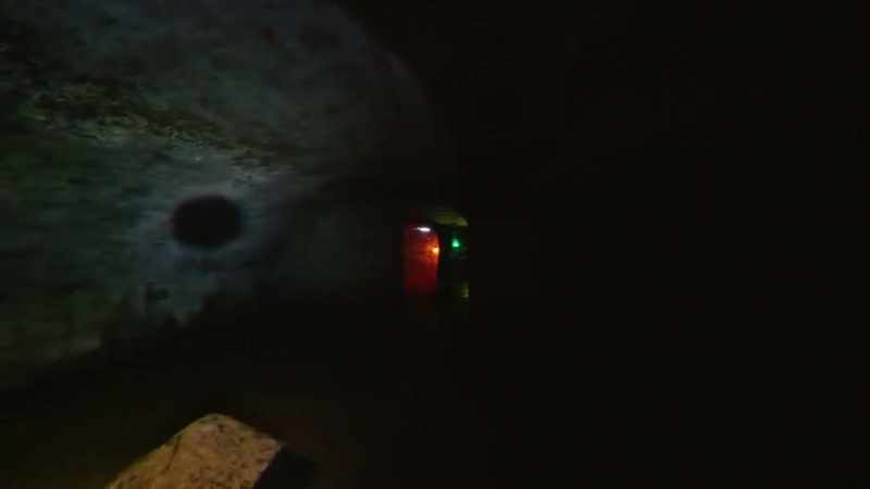 Despite being damp and dark
