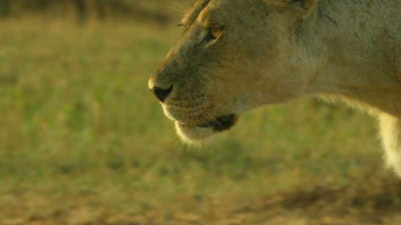 Despite her grief, Kali must seek safety