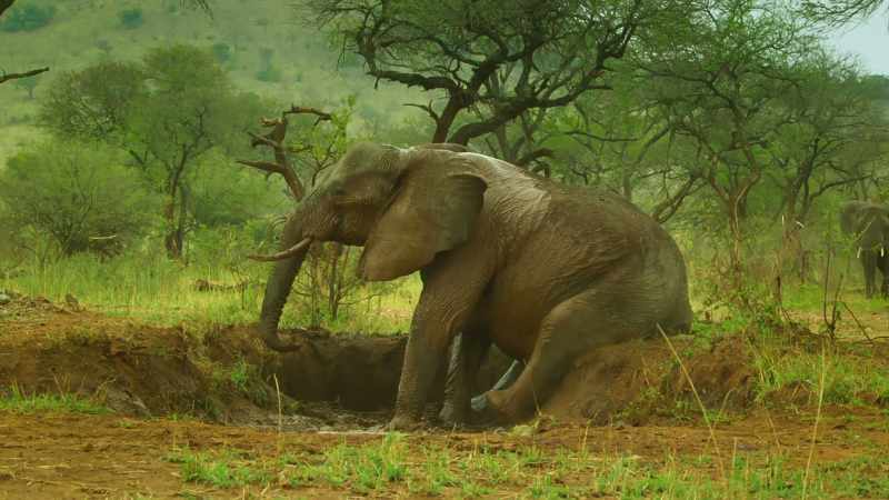 Despite struggling since leaving his mother's care