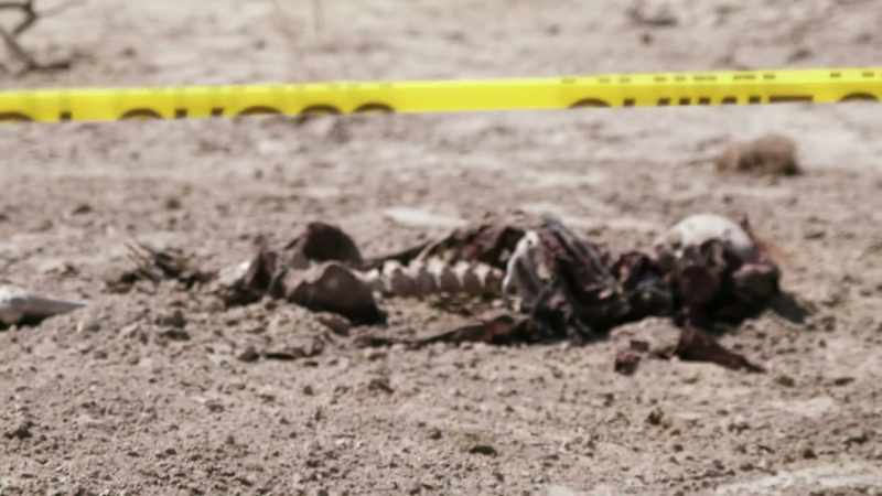 DESPITE THE CONDITION OF THE FIRST BODY