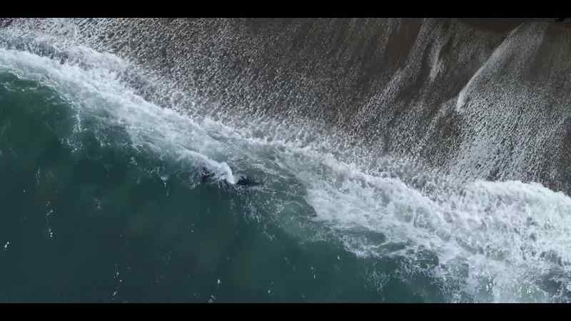 Despite the risk of big waves leaving them stranded