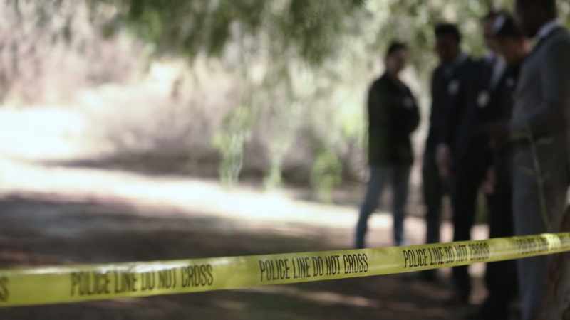 DET. MARK: From the law enforcement's perspective