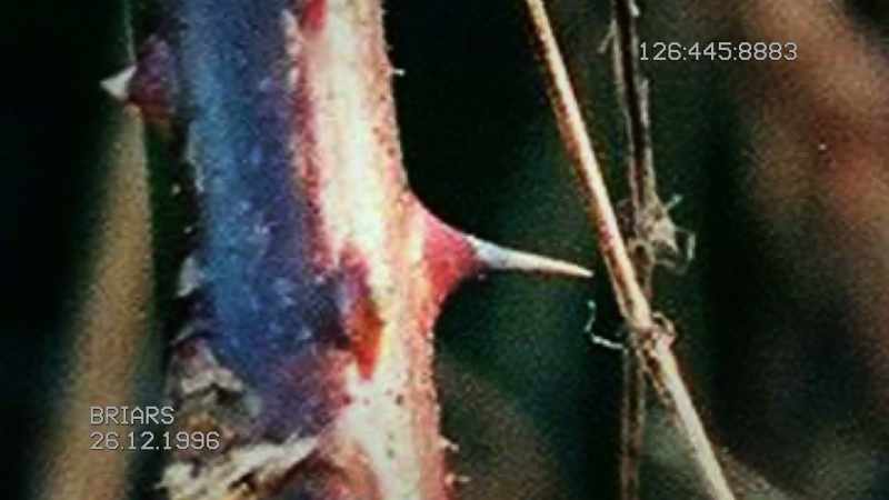 Detectives believe the killer would have been cut and bruised