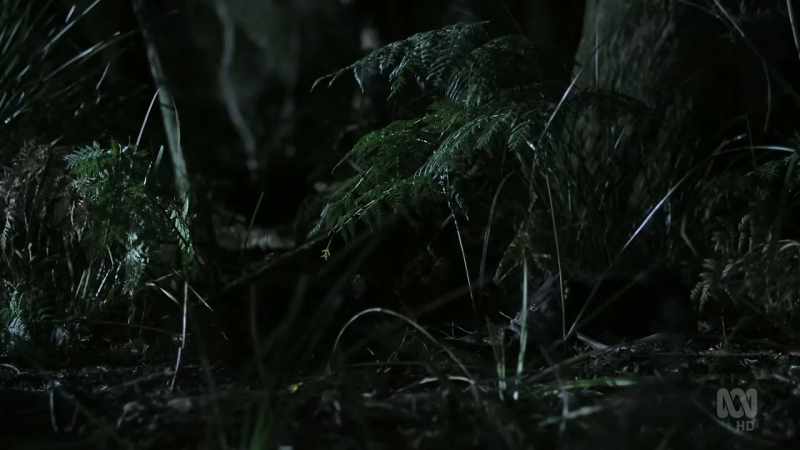 Devils may have a fearsome reputation
