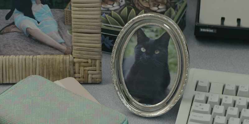 [Dexter] I'd always had a kinship with cats