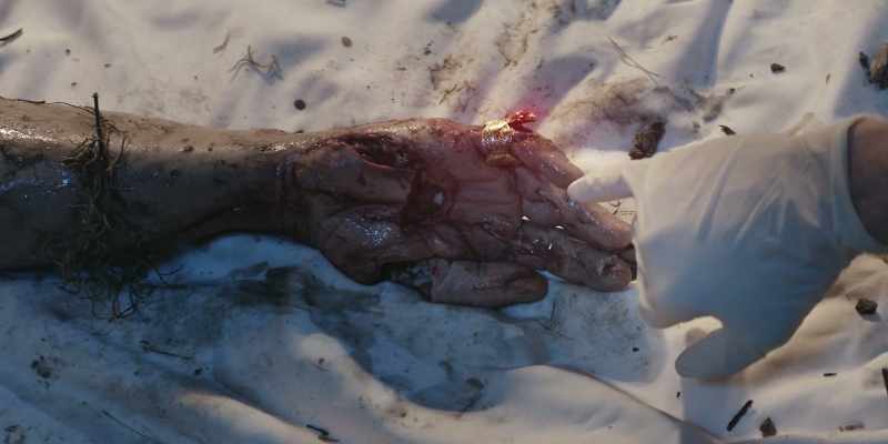 [Dexter] They were intact enough