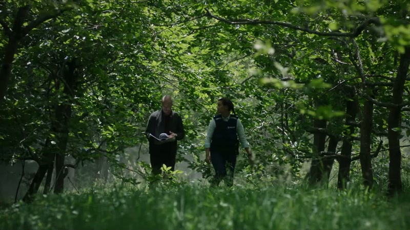 DIANA: Emma was out here pruning trees
