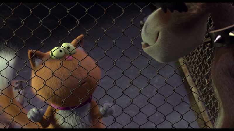 Did you come... - You will go without us