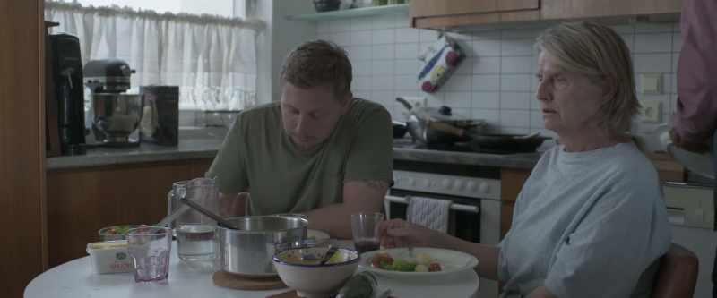 Did you feed the cat? - I haven't seen the cat for a while