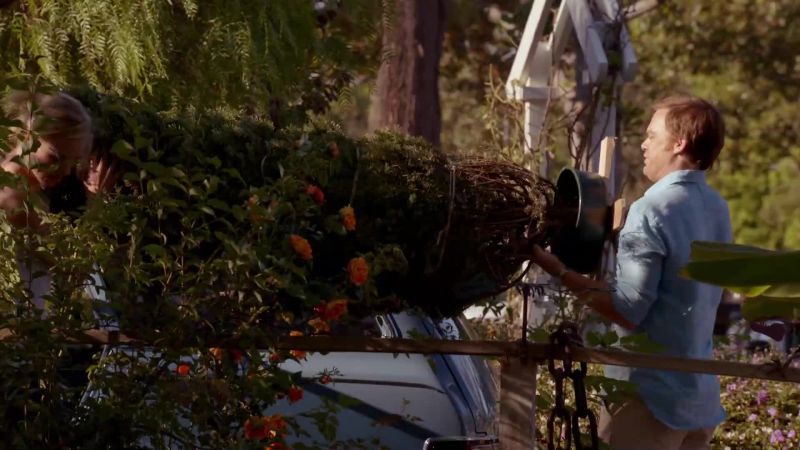 Did you have to get the biggest tree?
