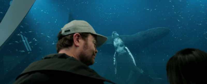 Did you have those whales here on cue?