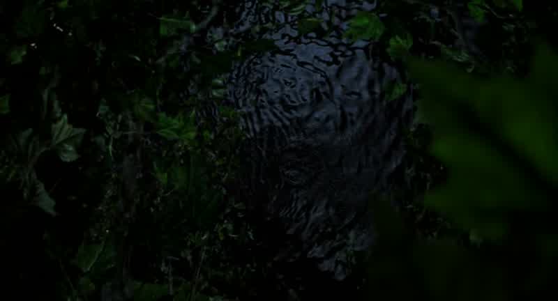 Did he fall in the water?