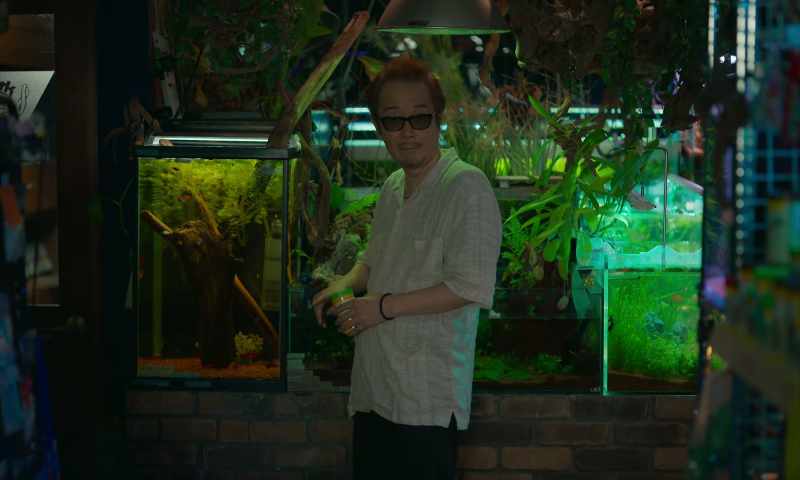 Did you know she liked tropical fish?