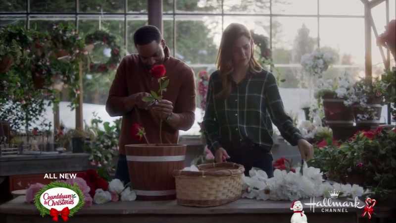 Did you know that mistletoe is actually pretty toxic?