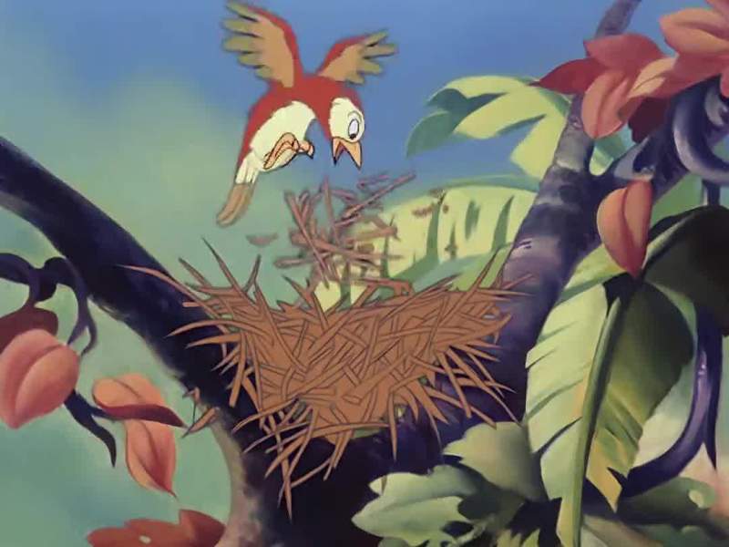 Did you know that some birds are skilled craftsmen