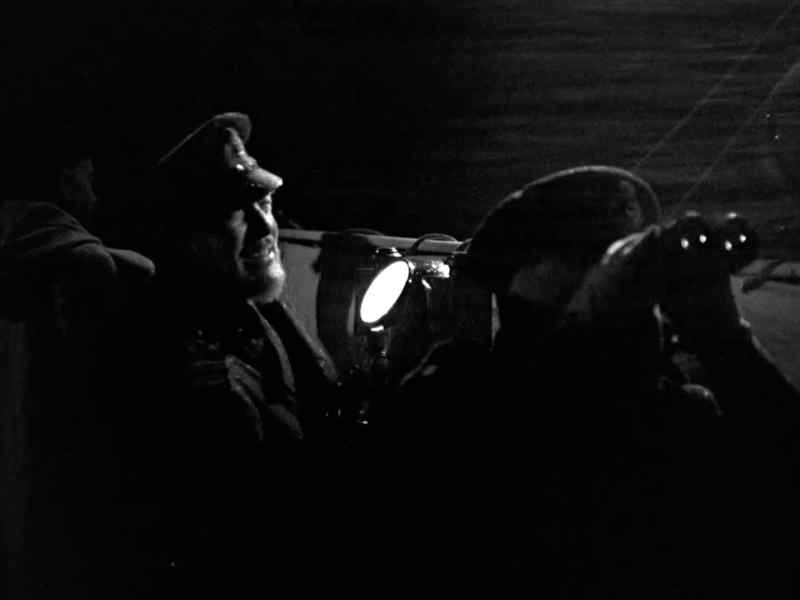Did you see a light? - Where? No