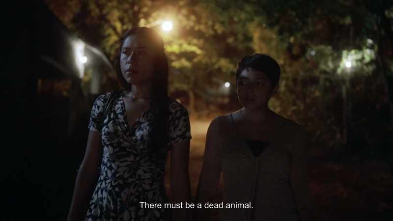 Did you see María and Luz leave? They didn't say goodbye