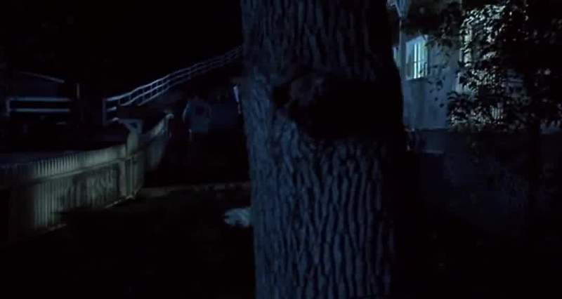Did you see that meteor