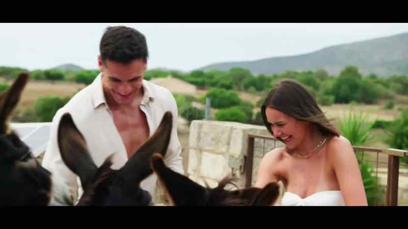 Did you see those donkeys on the way up?