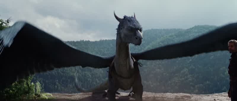 Did someone mention flying?