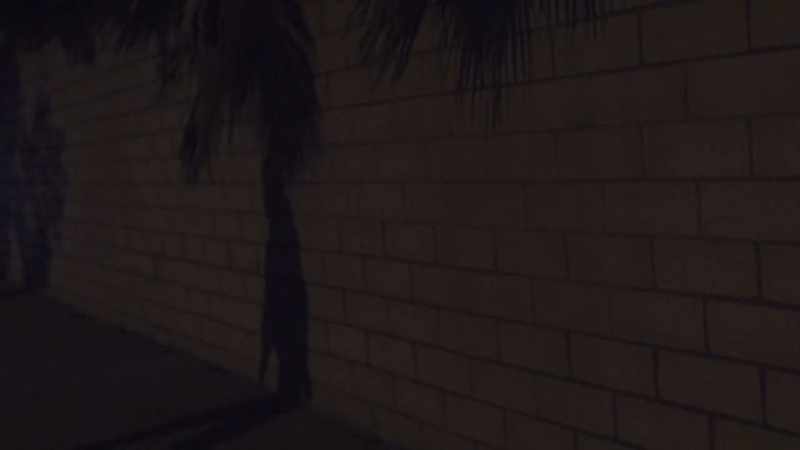 DID THEIR DOG CATCH HIM OFF GUARD?