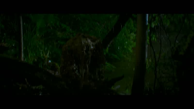 Did you see the Arrowhead?
