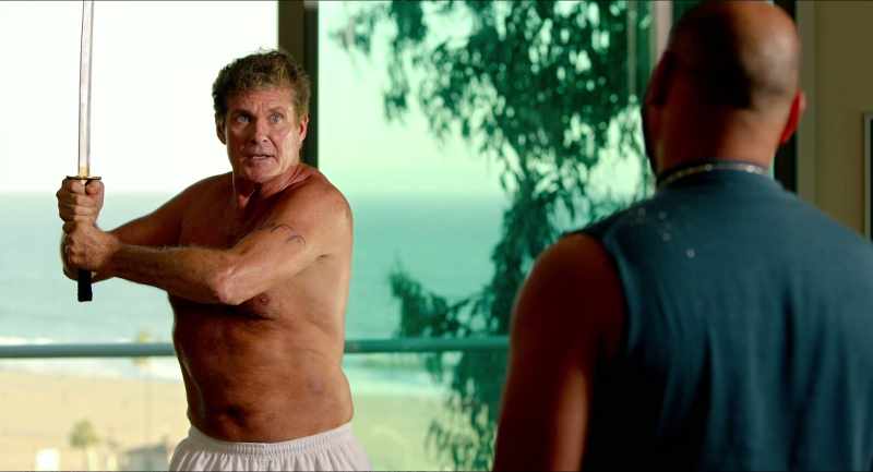 Didn't anyone ever tell you not to hassle the Hoff?