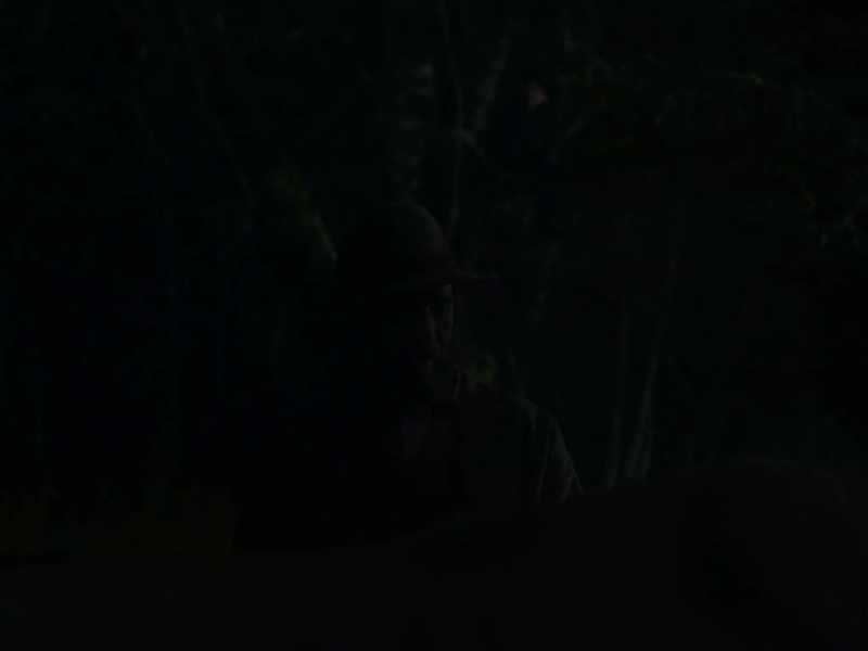 Didn't expect company this late at night, did you?